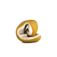 Vorschau: VIVOBAREFOOT Addis Junior* Vorschau: VIVOBAREFOOT Addis Junior*